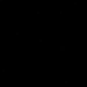 Meet your Posher, Lana